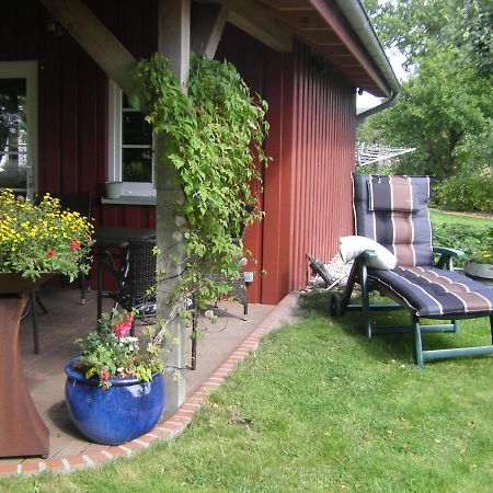 Ferienhaus Staben Eggstedt المظهر الخارجي الصورة