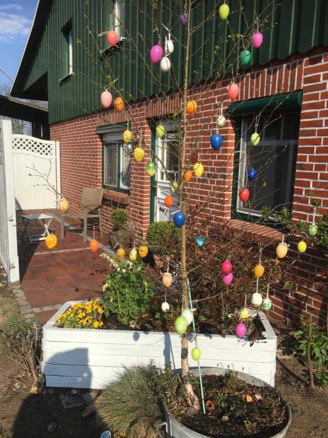 Ferienhaus Staben Eggstedt المظهر الخارجي الصورة