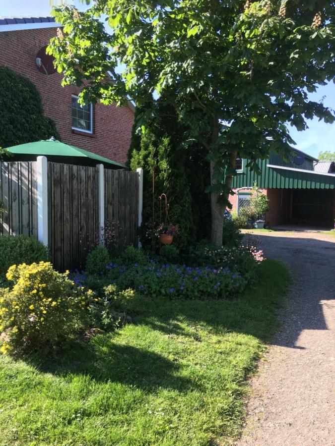 Ferienhaus Staben Eggstedt المظهر الخارجي الصورة